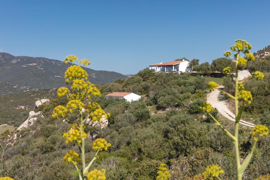 オルビア Agriturismo Cabu Abbasヴィラ エクステリア 写真